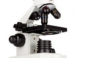 mikroskop2[1].jpg